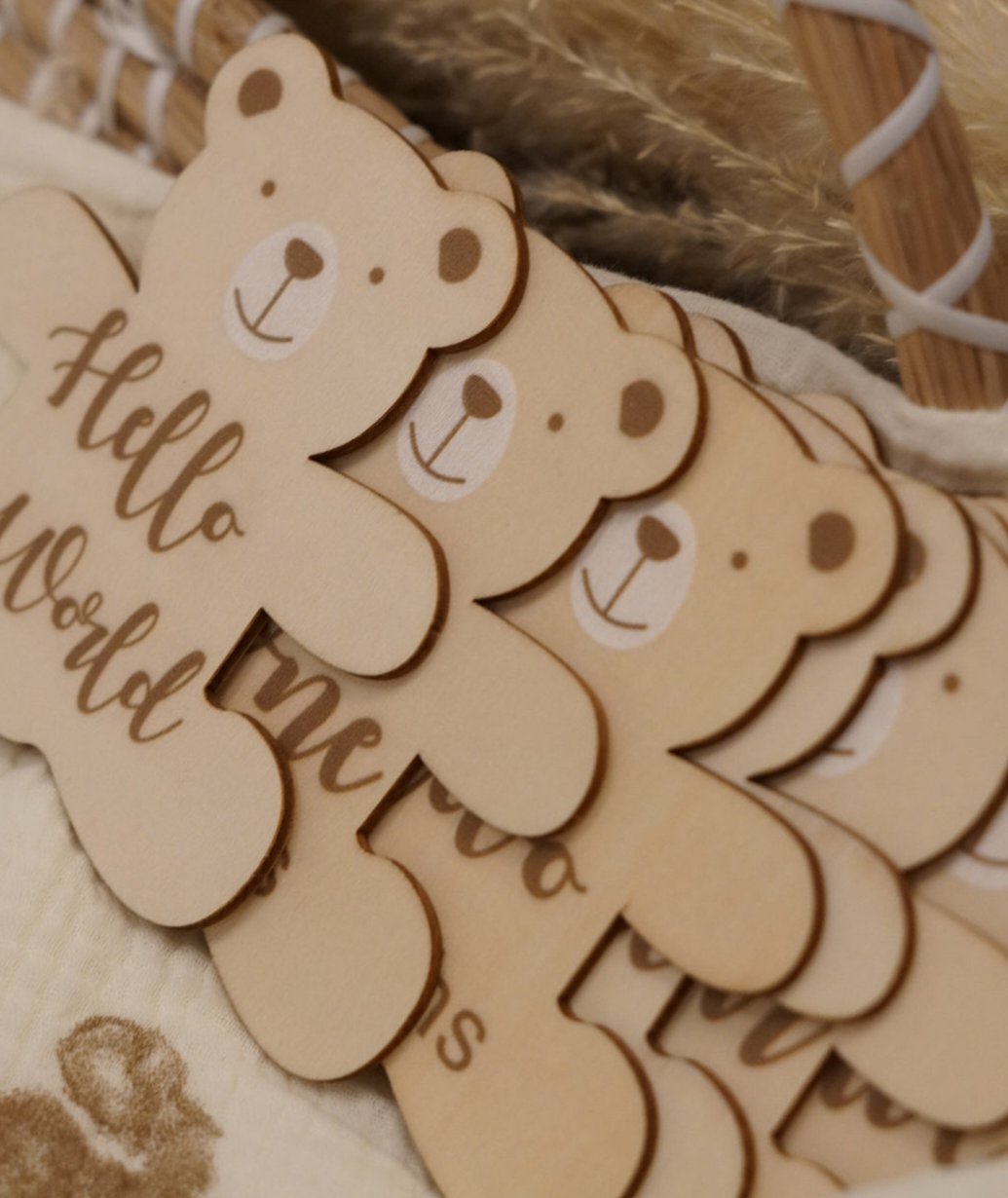 Cozy Cub Milestone Plaques