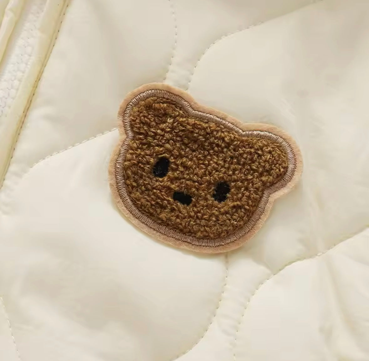 Cozy Cubs Winter Pramsuit